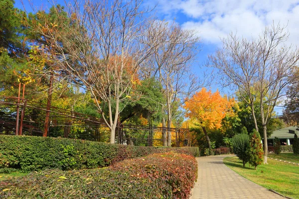 Park Der Nähe Des Schwanensees Jerewan Armenien — Stockfoto