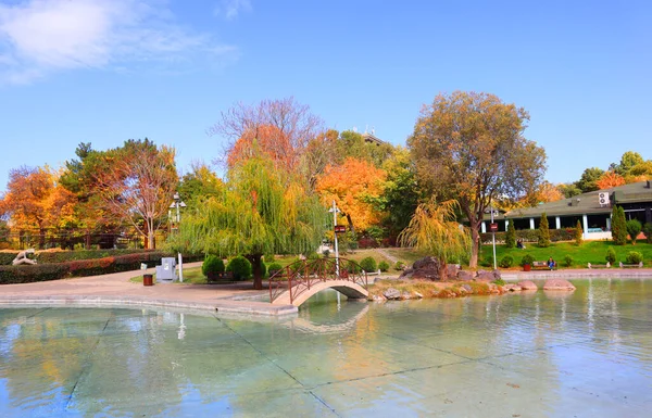 Danau Swan Yerevan Yerevan Armenia — Stok Foto