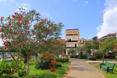 Karadağ 'ın Tivat kentinde güneşli bir günde park