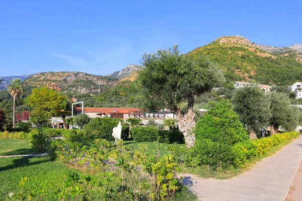 Karadağ 'ın Sveti Stefan kentinde güzel bir yaz gününde Park Milocer