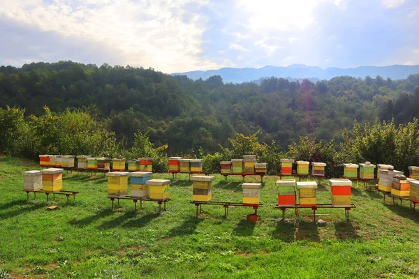 Bee Hives Moracha Monastery Montenegro — стокове фото