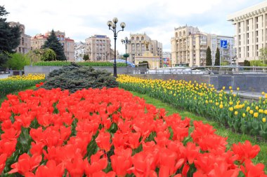 Ukrayna 'nın başkenti Kyiv' de savaş zamanı Bağımsızlık Meydanı
