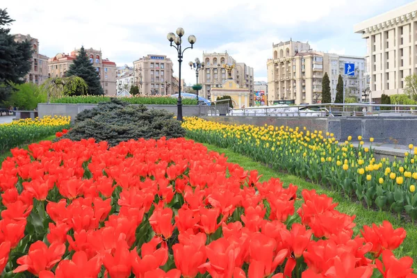 Ukrayna 'nın başkenti Kyiv' de savaş zamanı Bağımsızlık Meydanı