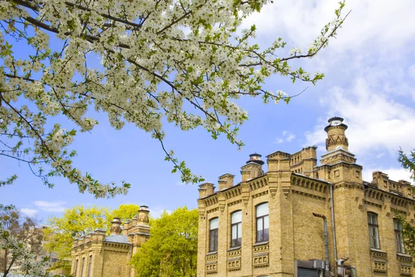 Ukrayna Ulusal Teknik Üniversitesi Igor Sikorsky Kyiv Politeknik Enstitüsü 