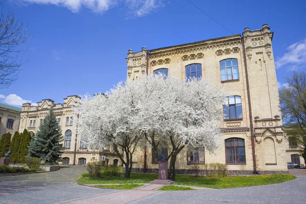 National Technical University Ukraine Igor Sikorsky Kyiv Műszaki Intézet — Stock Fotó