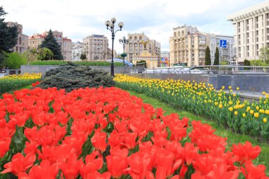 Ukrayna 'nın başkenti Kyiv' de savaş zamanı Bağımsızlık Meydanı