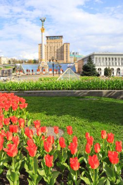 Ukrayna 'nın başkenti Kyiv' de lalelerle savaş zamanı Bağımsızlık Meydanı