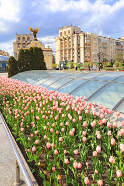 Ukrayna 'nın başkenti Kyiv' de savaş zamanı Bağımsızlık Meydanı