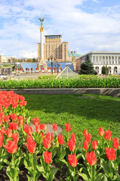 Independence Square in war time with bloomimg tulips in Kyiv, Ukraine
