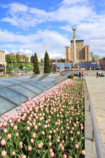 Ukrayna 'nın başkenti Kyiv' de savaş zamanı Bağımsızlık Meydanı