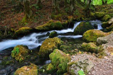 Yaz gününde doğu akıntısı
