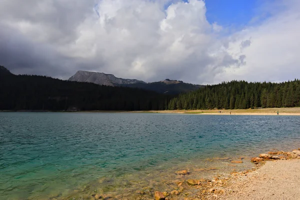 Lago Negro Parque Nacional Durmitor Montenegro — Fotografia de Stock