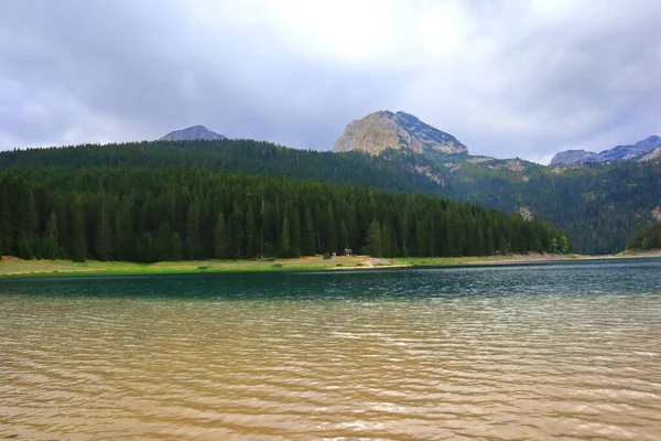 Lago Nero Nel Parco Nazionale Durmitor Montenegro — Foto Stock