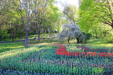 Kiev, Ukrayna Spivoche Kutbu'ndaki çiçek Sergisi