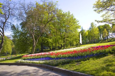 Kiev, Ukrayna Spivoche Kutbu'ndaki çiçek Sergisi