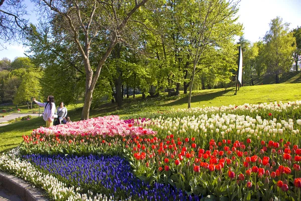 Kyiv Ukraine May 2022 Flower Exhibition Spivoche Pole Kyiv Ukraine — Foto de Stock