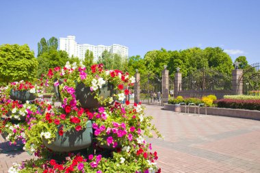 Kyiv, Ukrayna - 25 Mayıs 2022. Kyiv 'de bahar parkı 