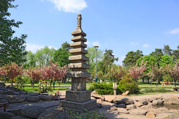 Parque Kyoto Com Sakura Florescendo Kiev Ucrânia — Fotografia de Stock