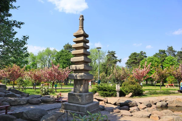 Park Kyoto Blooming Sakura Kyiv Ukraine — Stock Photo, Image