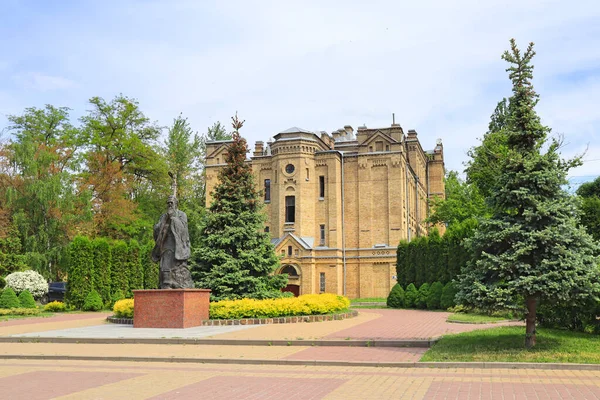 Flytande Anka Sjön Zoo Kiev Ukraina — Stockfoto