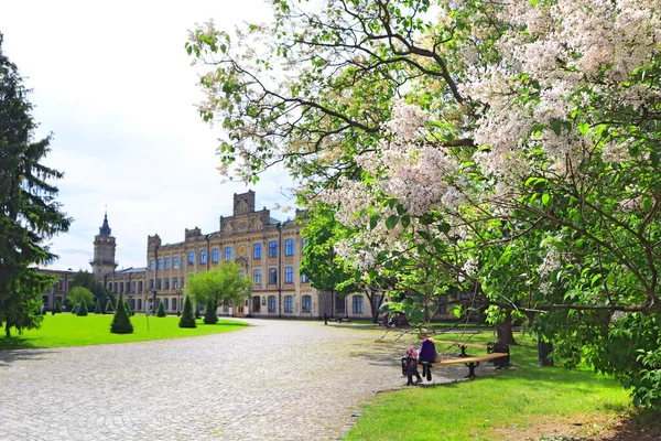 Ukrayna, Kyiv 'deki hayvanat bahçesinde yüzen ördek.