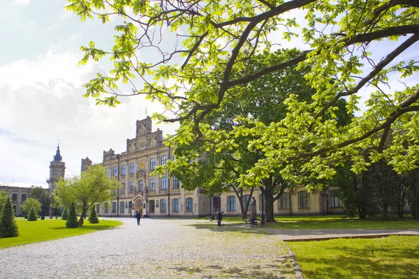 Ukrayna, Kyiv 'deki hayvanat bahçesinde yüzen ördek.