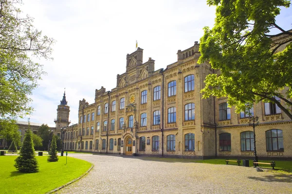 Ukrayna, Kyiv 'deki hayvanat bahçesinde yüzen ördek.