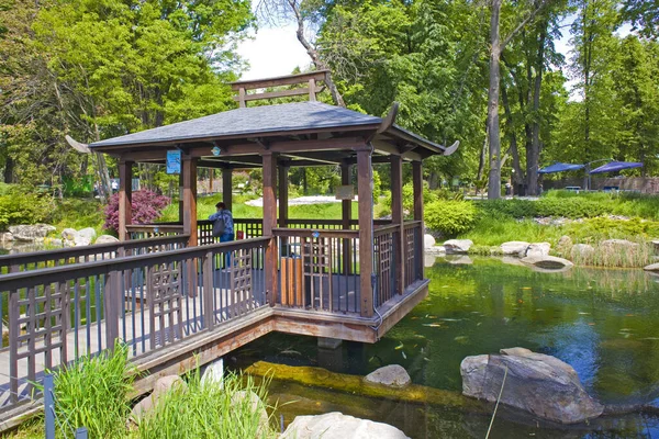 Gölde, Ukrayna 'nın başkenti Kyiv' deki hayvanat bahçesinde Japon sazan balıklarıyla dolu bir çardak.