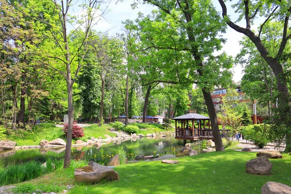 乌克兰基辅动物园的湖上有日本鲤鱼的东方露台 — 图库照片