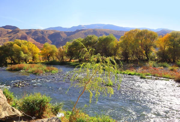 アルメニアの晴れた日の山と川の風景 — ストック写真