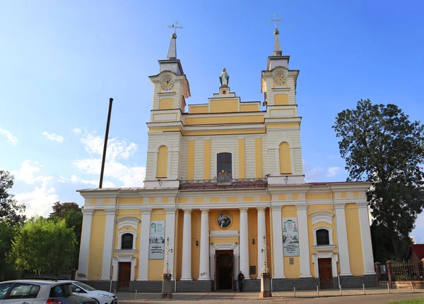 Catedral Santa Sofía Zhitomir Ucrania — Foto de Stock