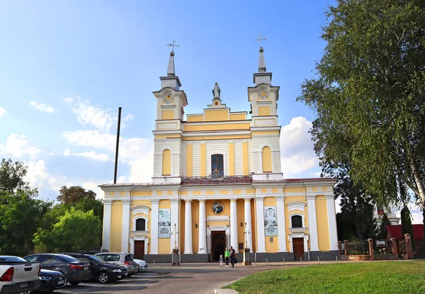Kathedrale Der Heiligen Sophia Zhitomir Ukraine — Stockfoto