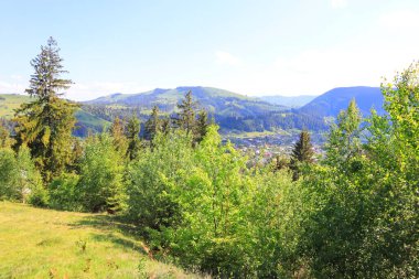 Verkhovyna, Ukrayna 'daki Karpat Dağları' nın manzarası