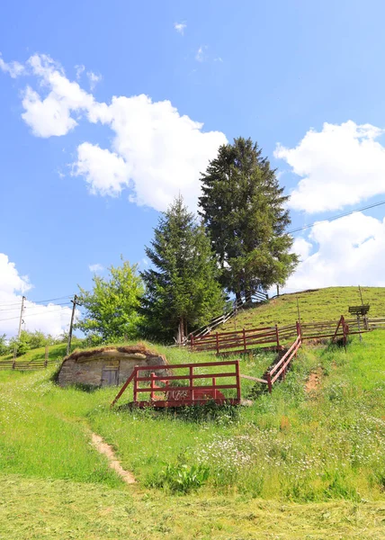 Landscape Carpathian Mountains Ukraine — Photo