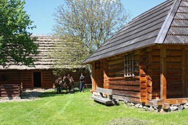  Naguevychy Parkı - Ukrayna 'nın Ukrayna' nın ana şehri Frankiv 'in topraklarında yaratılış skandalı