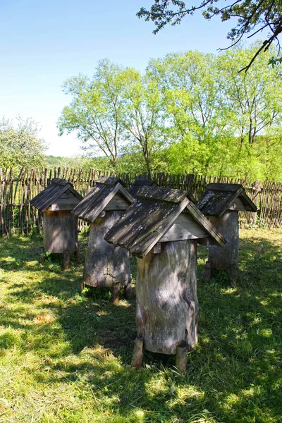 Wooden Hives Bees Park Naguevychy Ukrainian Skansen Creations Territory Native — Stockfoto