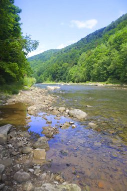Dağ nehir Prut Yaremche, Ukrayna
