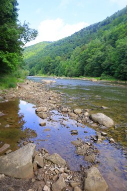 Dağ nehir Prut Yaremche, Ukrayna