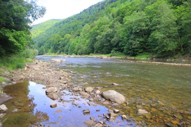 Dağ nehir Prut Yaremche, Ukrayna