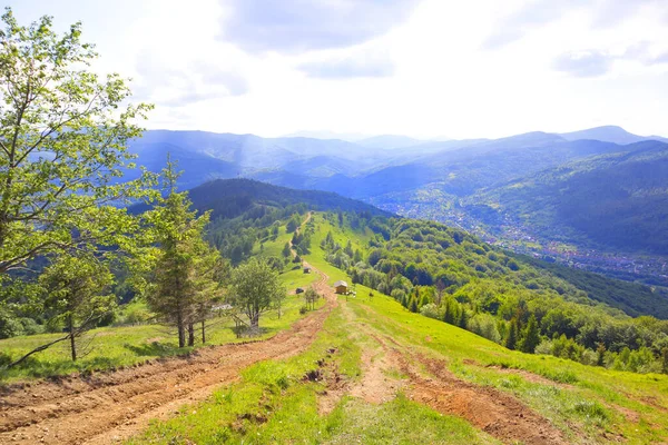 乌克兰 Yaremche Makovitsa 山脉全景 — 图库照片