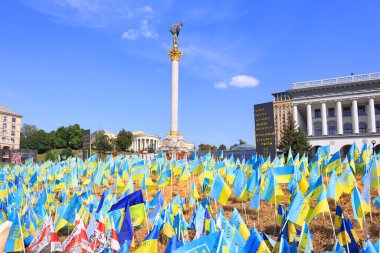  Independence Square with yellow and blue flags in memory of the fallen defenders of Ukraine in war time in Kyiv, Ukraine
