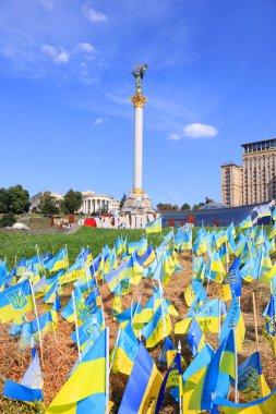  Independence Square with yellow and blue flags in memory of the fallen defenders of Ukraine in war time in Kyiv, Ukraine