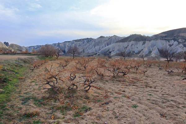 Rose Valley Cappadocië Turkije — Stockfoto