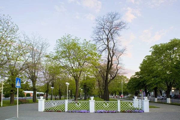 Pushkin Park Izmail Ukraine — Foto Stock