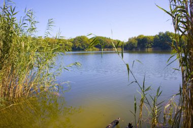 View of Buchak Lake in Cherkasy region, Ukraine