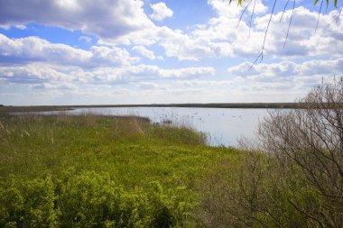 Landscape with river on Ankudinov island near Zero kilometer of the Danube (0km), Ukraine