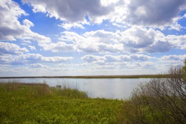 Landscape with river on Ankudinov island near Zero kilometer of the Danube (0km), Ukraine