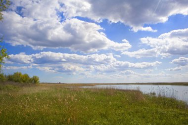 Landscape on Ankudinov island near Zero kilometer of the Danube (0km), Ukraine