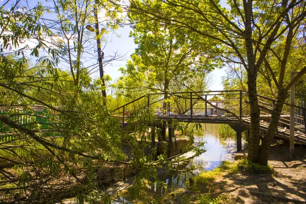 Typical Street Wooden Bridge Vylkove City Ukraine — Stok fotoğraf