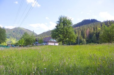 Wooden house in sunny day in village of Krivorivnya, Ukraine